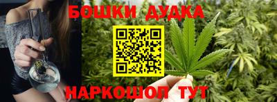 сатива Камень-на-Оби