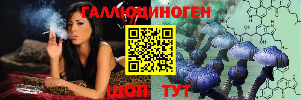 Великий Новгород  Псилоцибиновые грибы Psilocybine cubensis  Вход с VPN  Псилоцибиновые грибы MAGIC MUSHROOMS 