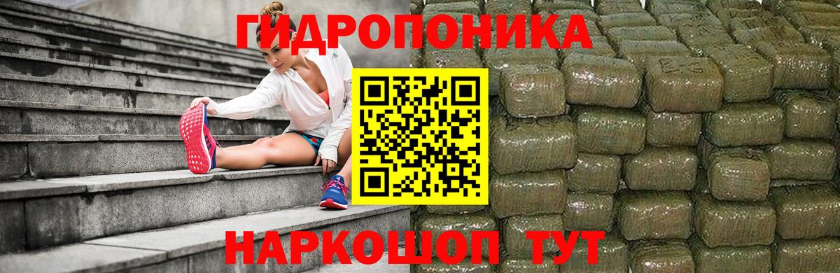 Конопля планчик Великий Новгород